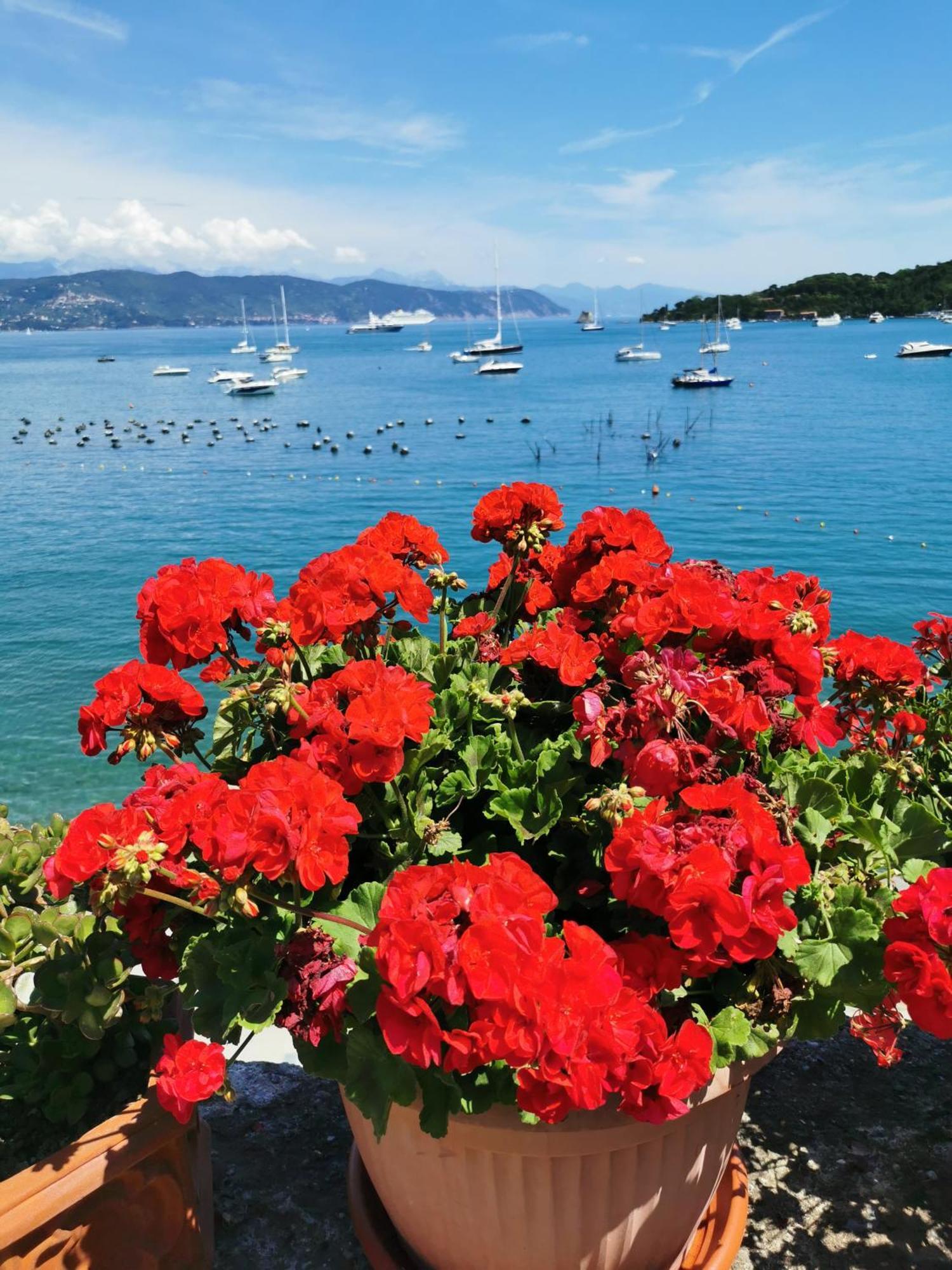 B&B La Palafitta Porto Venere Kültér fotó